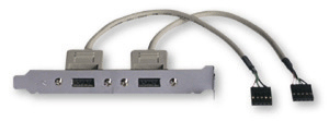 Câble slot 2 ports USB2.0