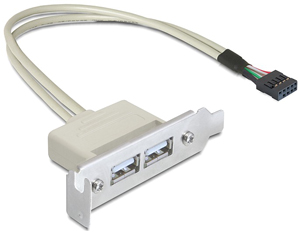 Câble slot 2 ports USB2.0 Low-Profile