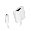 Convertisseur USB3.2 (USB-C) / DisplayPort - UA0246A