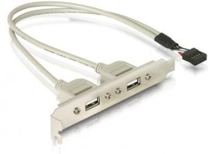 Câble slot 2 ports USB (IDC 10)